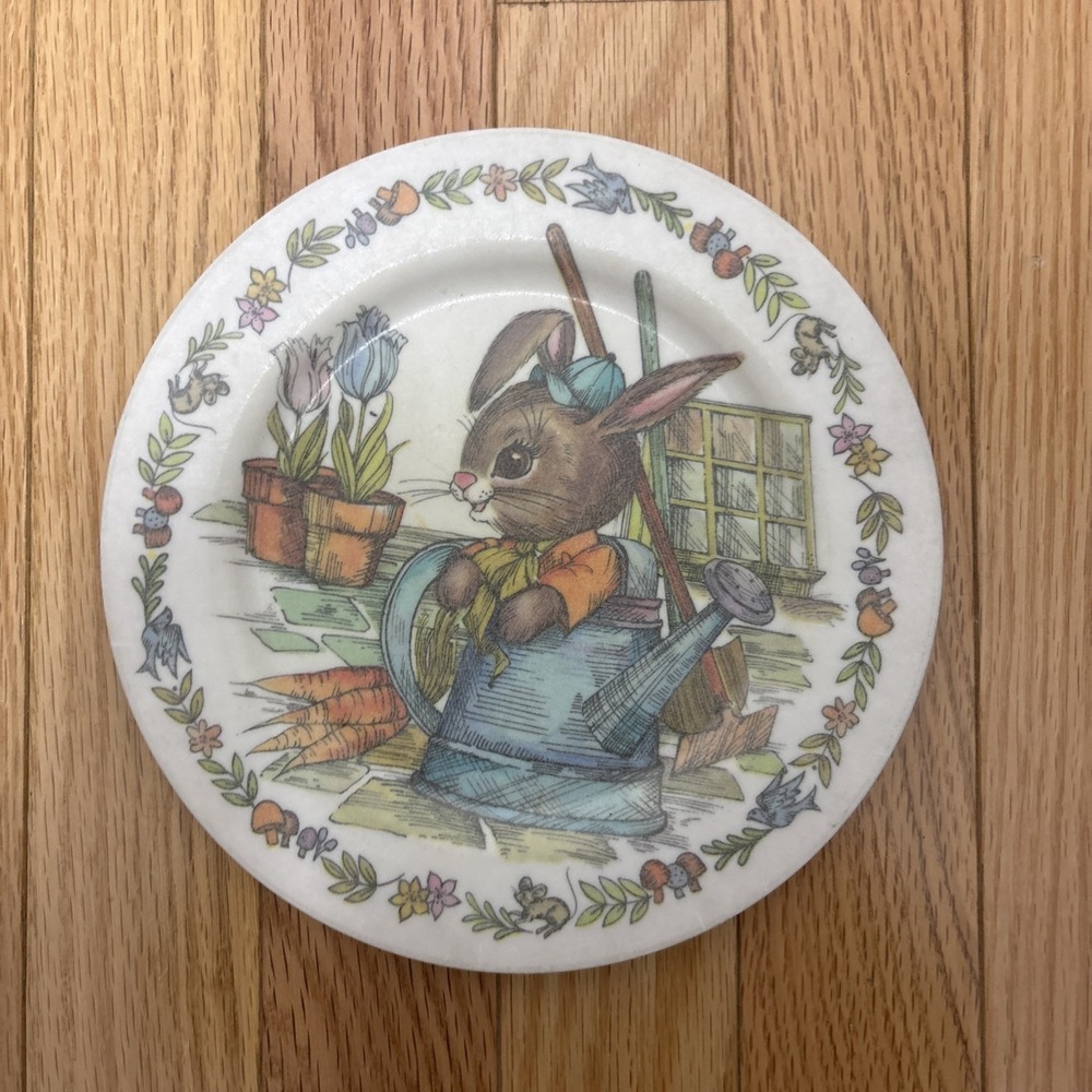 VTG ONEIDA DELUXE 3101 PETER‎ RABBIT CHILDRENS 8" DINNER PLATE EASTER BUNNY